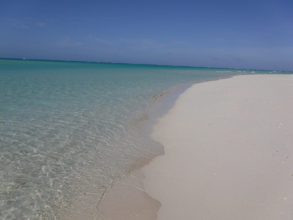 Turks and Caicos travel blog  travel blog for empty nesters travel blog for adventurous families oh the adventures we go ocean club east Cabana Bar Opus The Landing restaurant Turks IGA for groceries on Turks Jack's Fountain Magnolia Bugaboo's views of blue water Turks and Caicos sunset over Grace Bay beach Pelican Bay Talbot's adventures snorkeling reef fish Fort George Cay lemon shark Pine Cay Half Moon Bay cast away iguana island Turks Head beer Somewhere Cafe coral gardens on grace bay Baci sit on the outside deck ferry to north and middle caicos TCI Ferry Mudjin Harbor dragon cay mudjin bar and grill crossing place trail Bambarra beach Providenciales Kalooki Mangroves Big Blue Collective kayak turtles Skull Rock Bella Luna pizza Chalk sound Las Brisas Sapodilla Bay Grace Bay Adventures Turtle Cove La Famille Long Bay kite surfing surf surfers happy hour sunset caicos cafe bike ride to long bay travel inspiration Lemon2go Turkberry Da Conch Shack