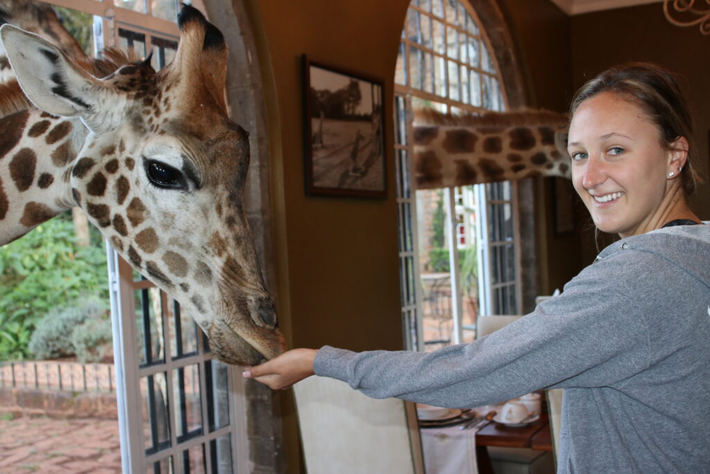 giraffe manor  breakfast with giraffes