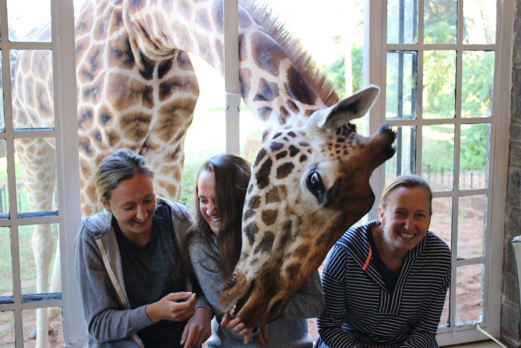 giraffe manor  breakfast with giraffes