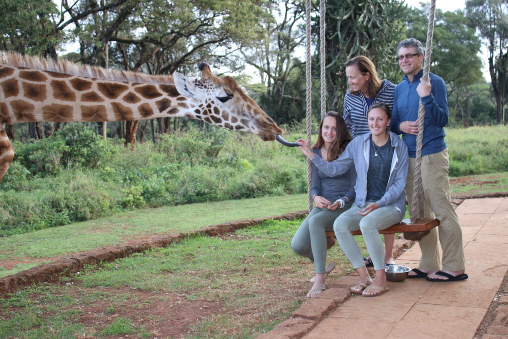 giraffe manor  breakfast with giraffes tea with giraffes africa kenya