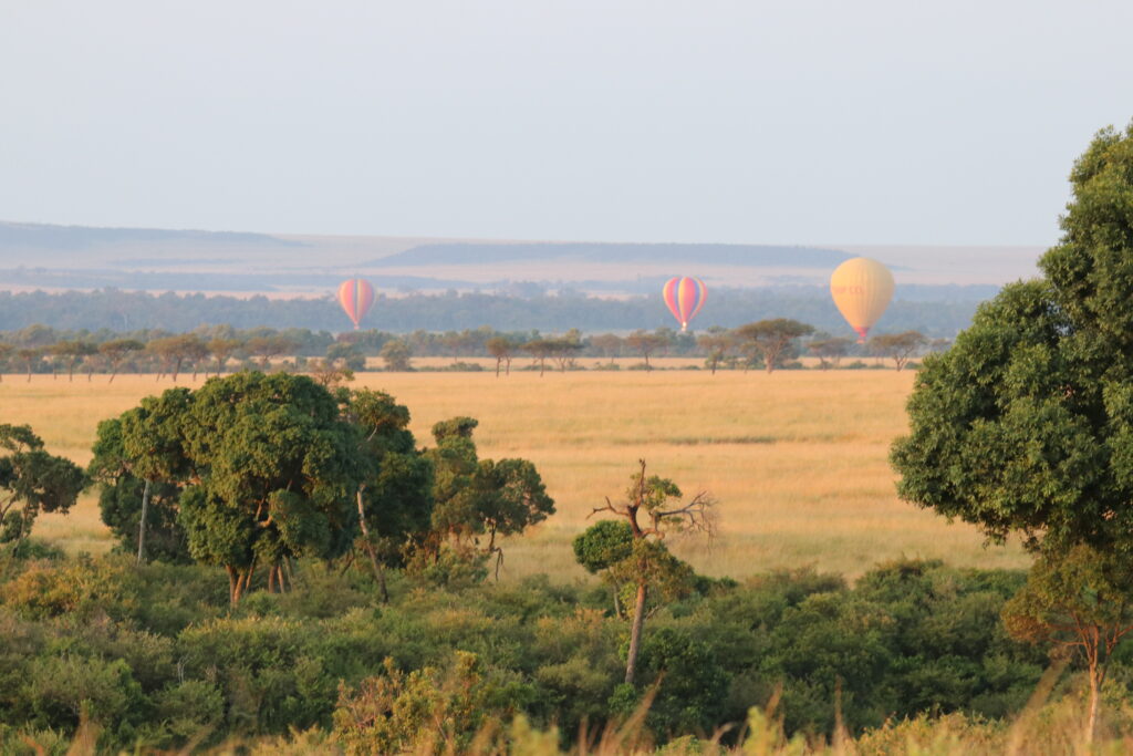 Kenya - Masai Mara - andBeyond Bateleur Camp Africa safari zebra elephant lion hippopotamus crocodile cape buffalo giraffe bird