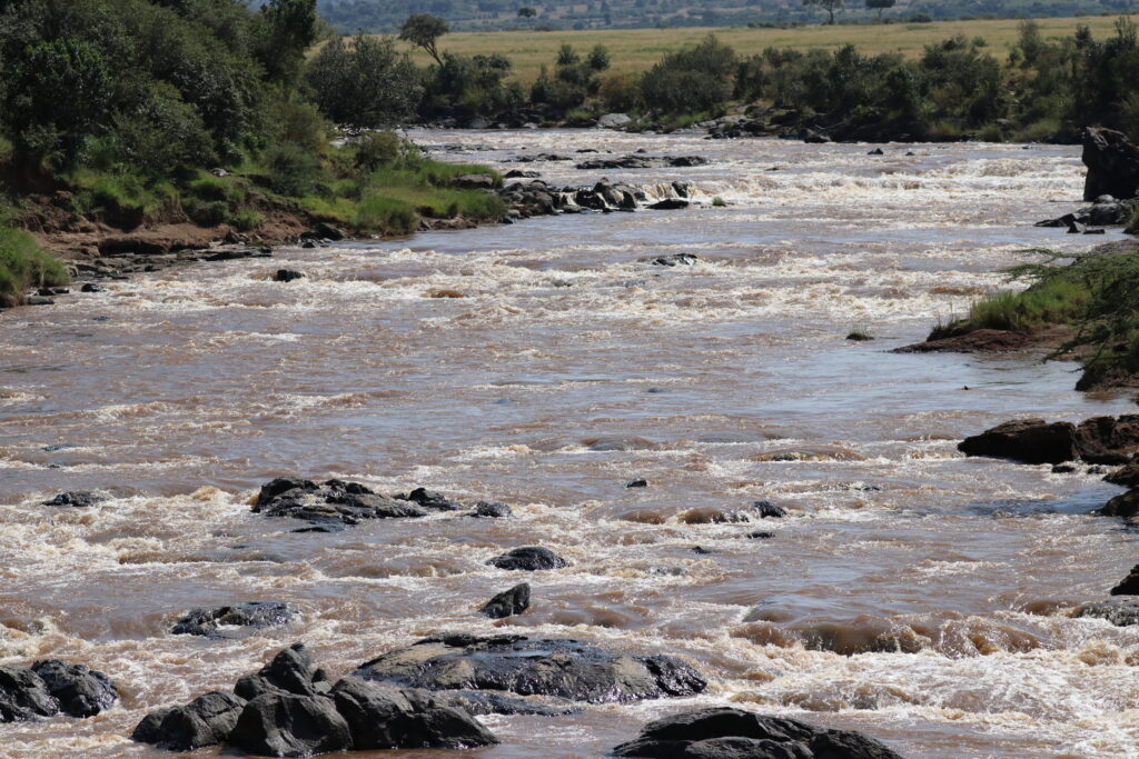 Kenya - Masai Mara - andBeyond Bateleur Camp Africa safari zebra elephant lion hippopotamus crocodile cape buffalo giraffe bird