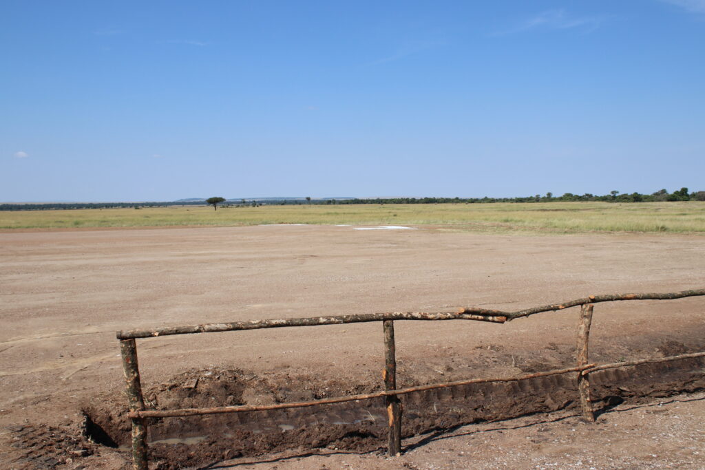 andBeyond Serengeti Under Canvas tanzania Camp Africa safari zebra elephant lion hippopotamus crocodile cape buffalo giraffe bird