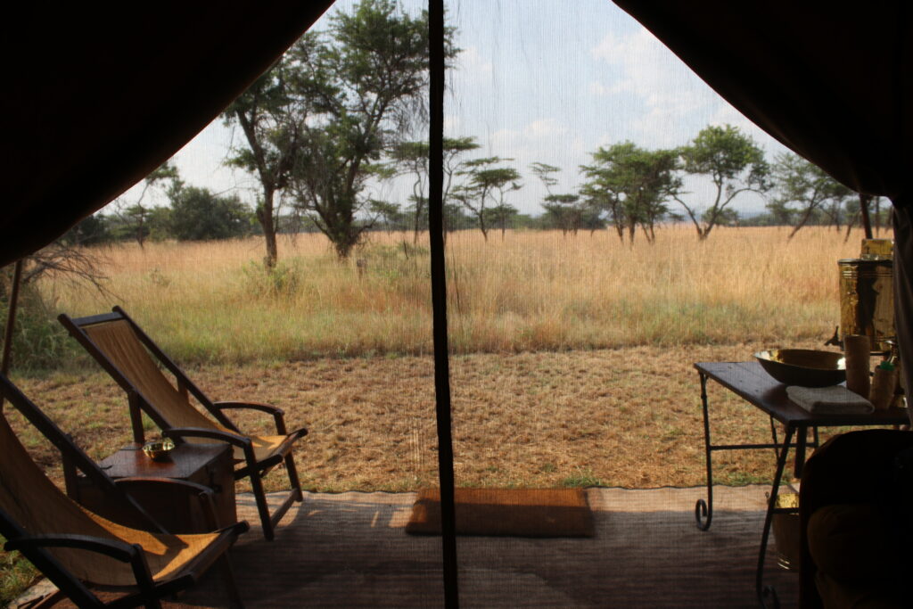 andBeyond Serengeti Under Canvas tanzania Camp Africa safari zebra elephant lion hippopotamus crocodile cape buffalo giraffe bird