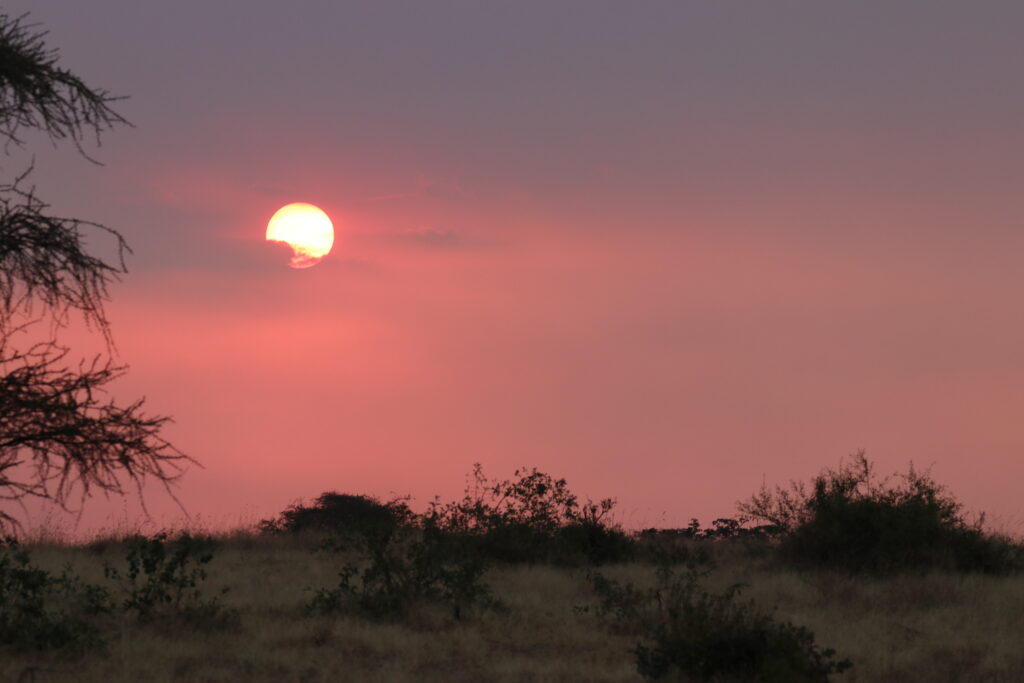 andBeyond Serengeti Under Canvas tanzania Camp Africa safari zebra elephant lion hippopotamus crocodile cape buffalo giraffe bird