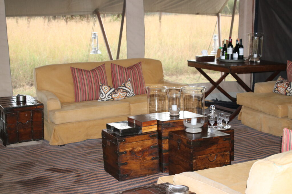 andBeyond Serengeti Under Canvas tanzania Camp Africa safari zebra elephant lion hippopotamus crocodile cape buffalo giraffe bird