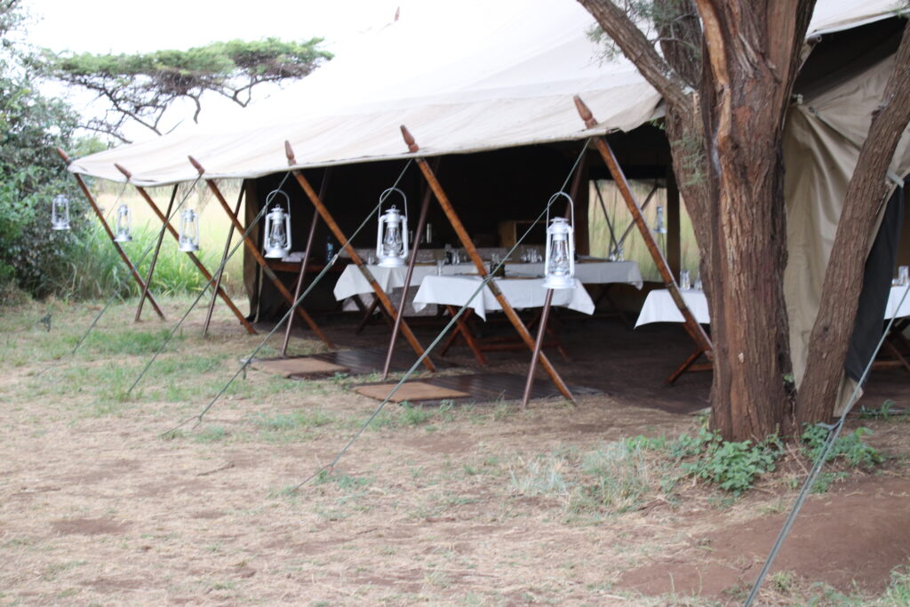 andBeyond Serengeti Under Canvas tanzania Camp Africa safari zebra elephant lion hippopotamus crocodile cape buffalo giraffe bird