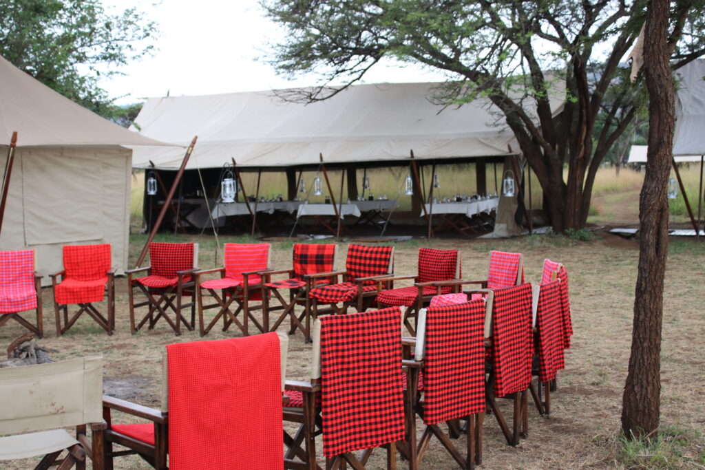 andBeyond Serengeti Under Canvas tanzania Camp Africa safari zebra elephant lion hippopotamus crocodile cape buffalo giraffe bird