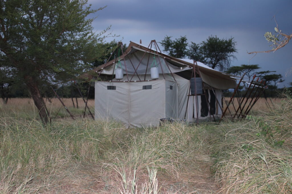 andBeyond Serengeti Under Canvas tanzania Camp Africa safari zebra elephant lion hippopotamus crocodile cape buffalo giraffe bird