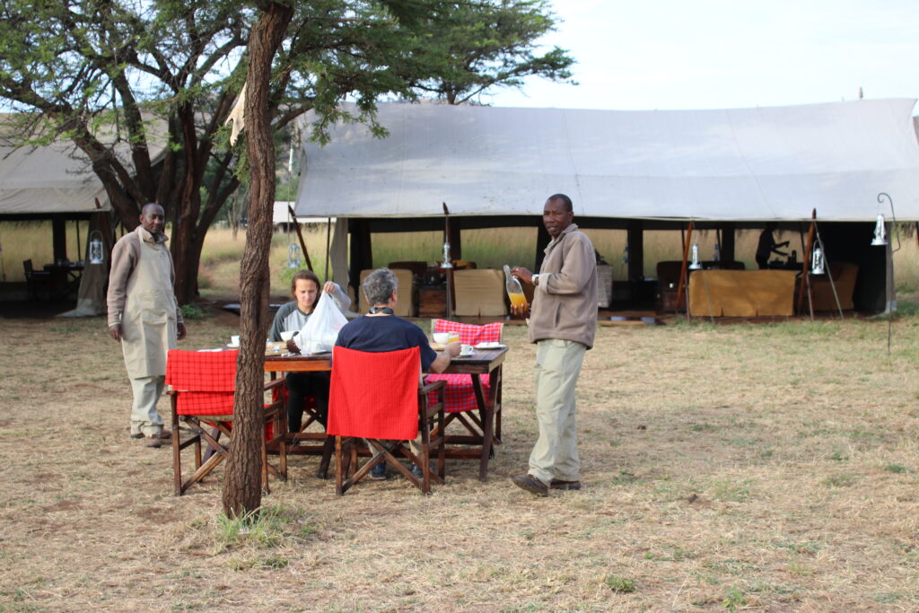 andBeyond Serengeti Under Canvas tanzania Camp Africa safari zebra elephant lion hippopotamus crocodile cape buffalo giraffe bird