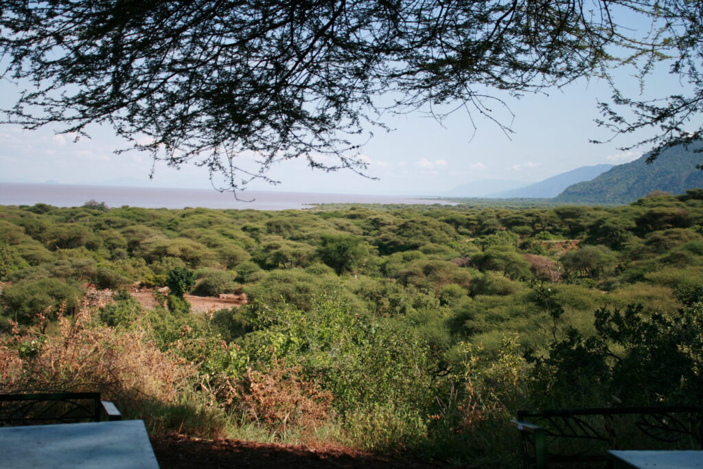 giraffe manor eating breakfast with giraffes kenya awe inspiring andBeyond Serengeti Under Canvas tanzania Camp Africa safari zebra elephant lion hippopotamus crocodile cape buffalo giraffe bird Serengeti under canvas Ngorongoro crater lodge Matetsi Victoria Falls Bateleur camp