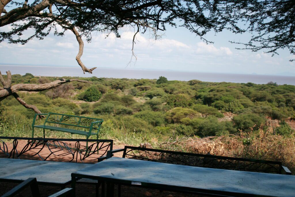 giraffe manor eating breakfast with giraffes kenya awe inspiring andBeyond Serengeti Under Canvas tanzania Camp Africa safari zebra elephant lion hippopotamus crocodile cape buffalo giraffe bird Serengeti under canvas Ngorongoro crater lodge Matetsi Victoria Falls Bateleur camp