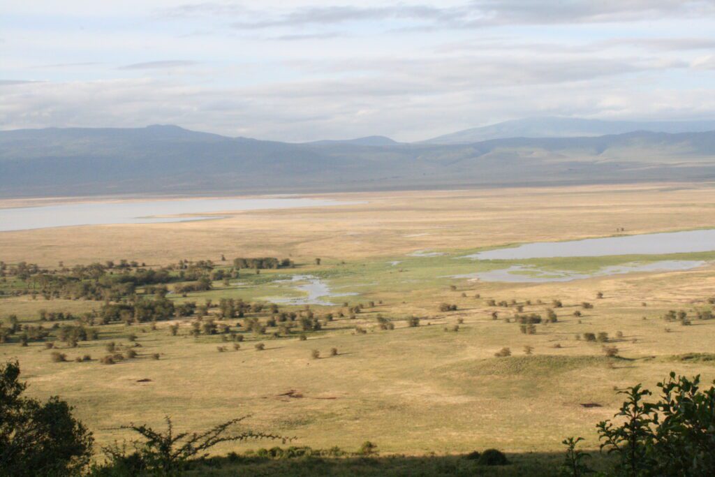 giraffe manor eating breakfast with giraffes kenya awe inspiring andBeyond Serengeti Under Canvas tanzania Camp Africa safari zebra elephant lion hippopotamus crocodile cape buffalo giraffe bird Serengeti under canvas Ngorongoro crater lodge Matetsi Victoria Falls Bateleur camp