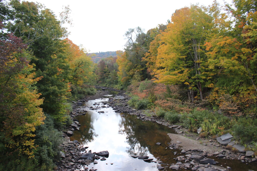 Vermont travel blog to vermont travel blog for empty nesters travel blog for adventurous families foliage travel inspiration Burlington vermont woodstock vermont wilmington vermont lye brook falls hike hiking in the green mountain state burlington bikeway greenway Made Inn Vermont  Pizza Verita biking in burlington local motion bike rental lake champlain Muddy Waters RiRa Farmhouse Tap and Grill Camel's Hump Loop via Burrow Trail Blue Horse Inn Woodstock Vermont travel inspiration blog Melaza Bistro Mount Tom Hike Faulkner Trail Marsh-Billings Rockefeller National Historic Park Ottauquechee River Woodstock Farmers' Market Quechee Simon Pearce Mount Olga Hogback ski area Molly Stark State park  Beer Naked Brewery La Casita Haystack Mountain Village Roost Wilmington Vermont