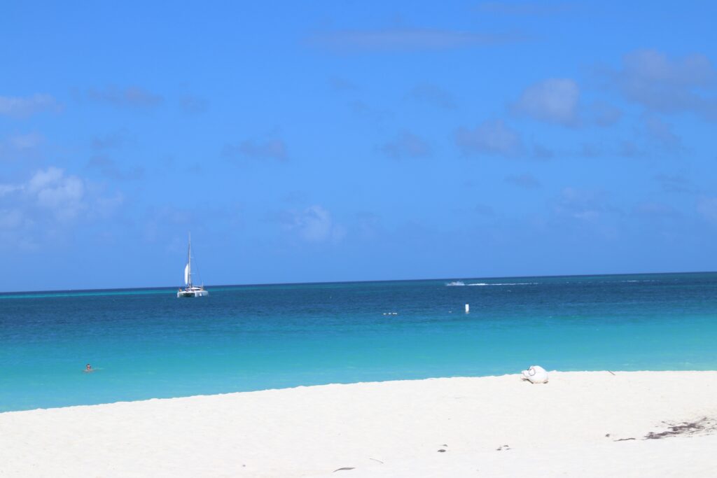 aruba boat boca catalina mangel halto eagle beach palm beach aruba premier boat and dive snorkel baby beach rogers beach oceania pincho's Matthew's beachside the west deck flying fishbone oranjestad zeerovers savaneta jetblue covid test travel christmas holiday blue water normal screaming eagle santos coffee clover market superfoods UTV natural pool arikok national park desert boca prins dos playa fishing california lighthouse rental car swim aruba bathing suit Urataka pizza murano glass blowing airport aruba yemanja