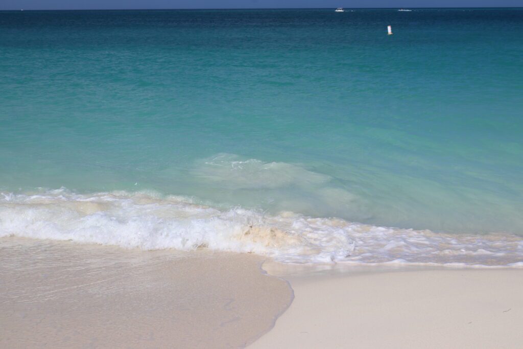 aruba boat boca catalina mangel halto eagle beach palm beach aruba premier boat and dive snorkel baby beach rogers beach oceania pincho's Matthew's beachside the west deck flying fishbone oranjestad zeerovers savaneta jetblue covid test travel christmas holiday blue water normal screaming eagle santos coffee clover market superfoods UTV natural pool arikok national park desert boca prins dos playa fishing california lighthouse rental car swim aruba bathing suit Urataka pizza murano glass blowing airport aruba yemanja