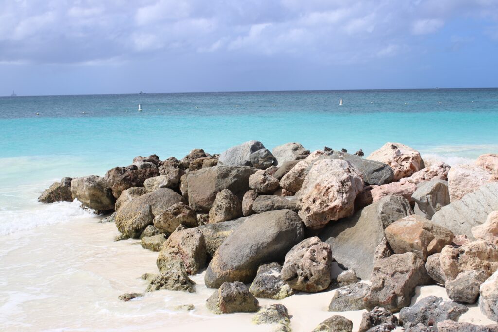 aruba boat boca catalina mangel halto eagle beach palm beach aruba premier boat and dive snorkel baby beach rogers beach oceania pincho's Matthew's beachside the west deck flying fishbone oranjestad zeerovers savaneta jetblue covid test travel christmas holiday blue water normal screaming eagle santos coffee clover market superfoods UTV natural pool arikok national park desert boca prins dos playa fishing california lighthouse rental car swim aruba bathing suit Urataka pizza murano glass blowing airport aruba yemanja