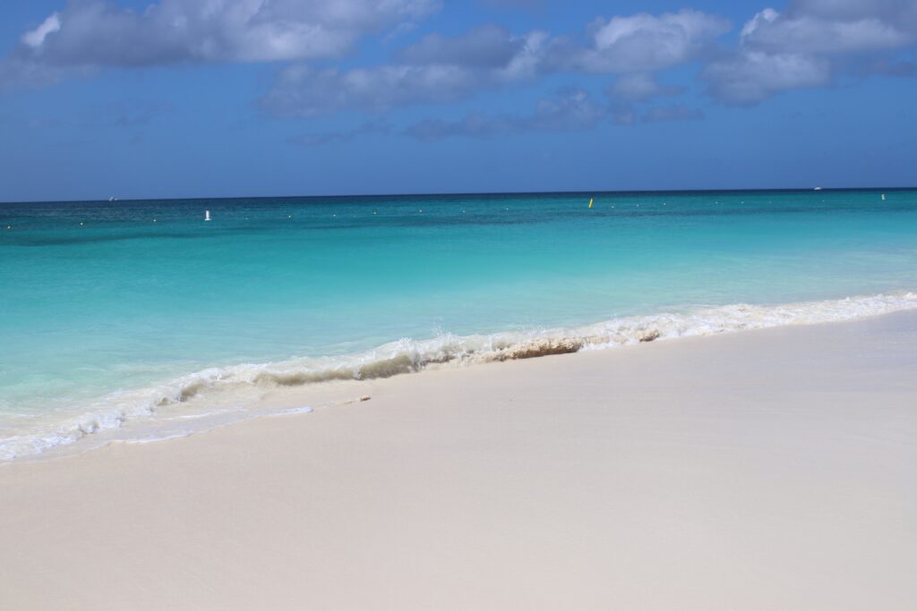 aruba boat boca catalina mangel halto eagle beach palm beach aruba premier boat and dive snorkel baby beach rogers beach oceania pincho's Matthew's beachside the west deck flying fishbone oranjestad zeerovers savaneta jetblue covid test travel christmas holiday blue water normal screaming eagle santos coffee clover market superfoods UTV natural pool arikok national park desert boca prins dos playa fishing california lighthouse rental car swim aruba bathing suit Urataka pizza murano glass blowing airport aruba yemanja