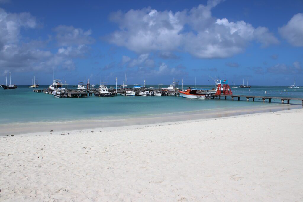 aruba boat boca catalina mangel halto eagle beach palm beach aruba premier boat and dive snorkel baby beach rogers beach oceania pincho's Matthew's beachside the west deck flying fishbone oranjestad zeerovers savaneta jetblue covid test travel christmas holiday blue water normal screaming eagle santos coffee clover market superfoods UTV natural pool arikok national park desert boca prins dos playa fishing california lighthouse rental car swim aruba bathing suit Urataka pizza murano glass blowing airport aruba yemanja passions on the beach moomba's