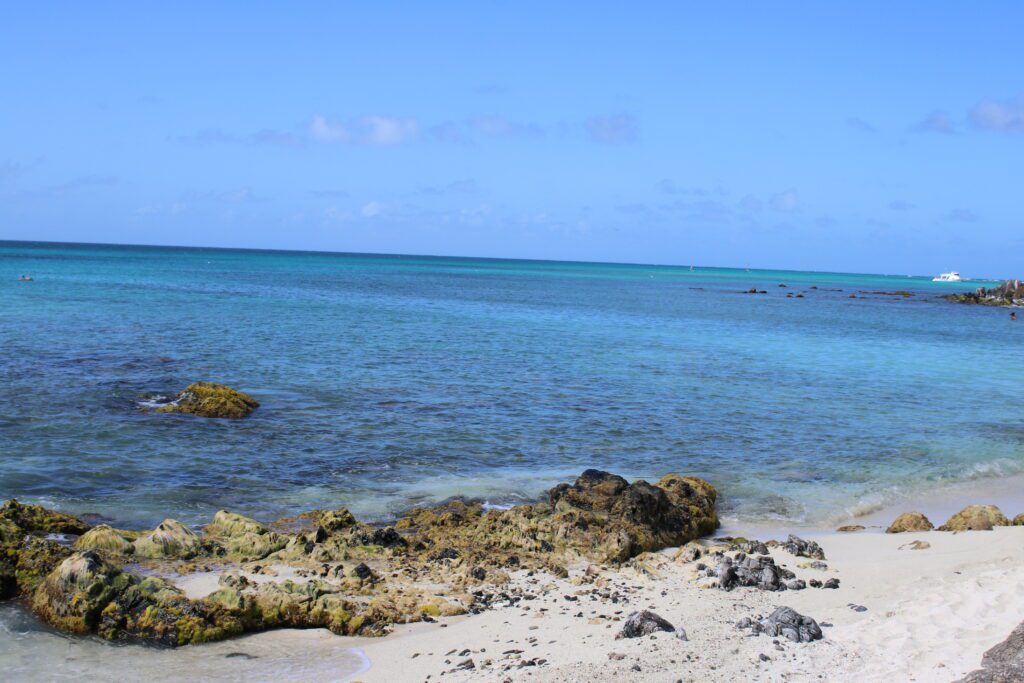 aruba boat boca catalina mangel halto eagle beach palm beach aruba premier boat and dive snorkel baby beach rogers beach oceania pincho's Matthew's beachside the west deck flying fishbone oranjestad zeerovers savaneta jetblue covid test travel christmas holiday blue water normal screaming eagle santos coffee clover market superfoods UTV natural pool arikok national park desert boca prins dos playa fishing california lighthouse rental car swim aruba bathing suit Urataka pizza murano glass blowing airport aruba yemanja passions on the beach moomba's