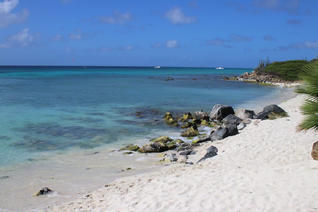 aruba boat boca catalina mangel halto eagle beach palm beach aruba premier boat and dive snorkel baby beach rogers beach oceania pincho's Matthew's beachside the west deck flying fishbone oranjestad zeerovers savaneta jetblue covid test travel christmas holiday blue water normal screaming eagle santos coffee clover market superfoods UTV natural pool arikok national park desert boca prins dos playa fishing california lighthouse rental car swim aruba bathing suit Urataka pizza murano glass blowing airport aruba yemanja passions on the beach moomba's aruba travel blog